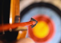 arrow hitting the bullseye on the target
