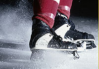 young martial arts students practicing their skills