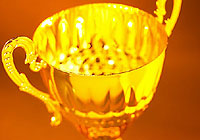 a golden trophy symbolizing sudbury's sporting excellence and how hard working Sudburians deserve recognition