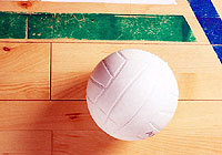 a volleyball resting on the court